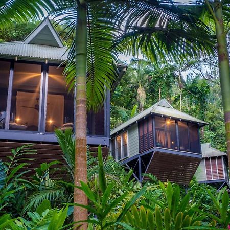 Daintree Ecolodge ภายนอก รูปภาพ