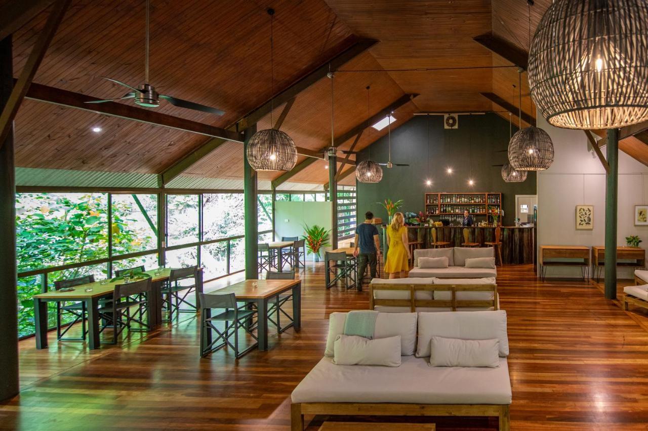 Daintree Ecolodge ภายนอก รูปภาพ