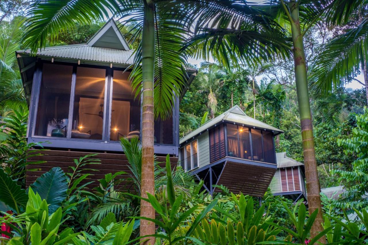 Daintree Ecolodge ภายนอก รูปภาพ