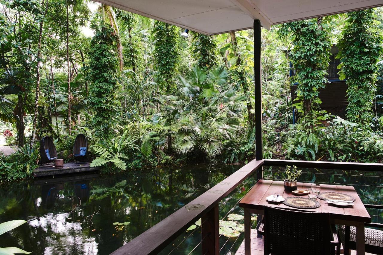 Daintree Ecolodge ภายนอก รูปภาพ