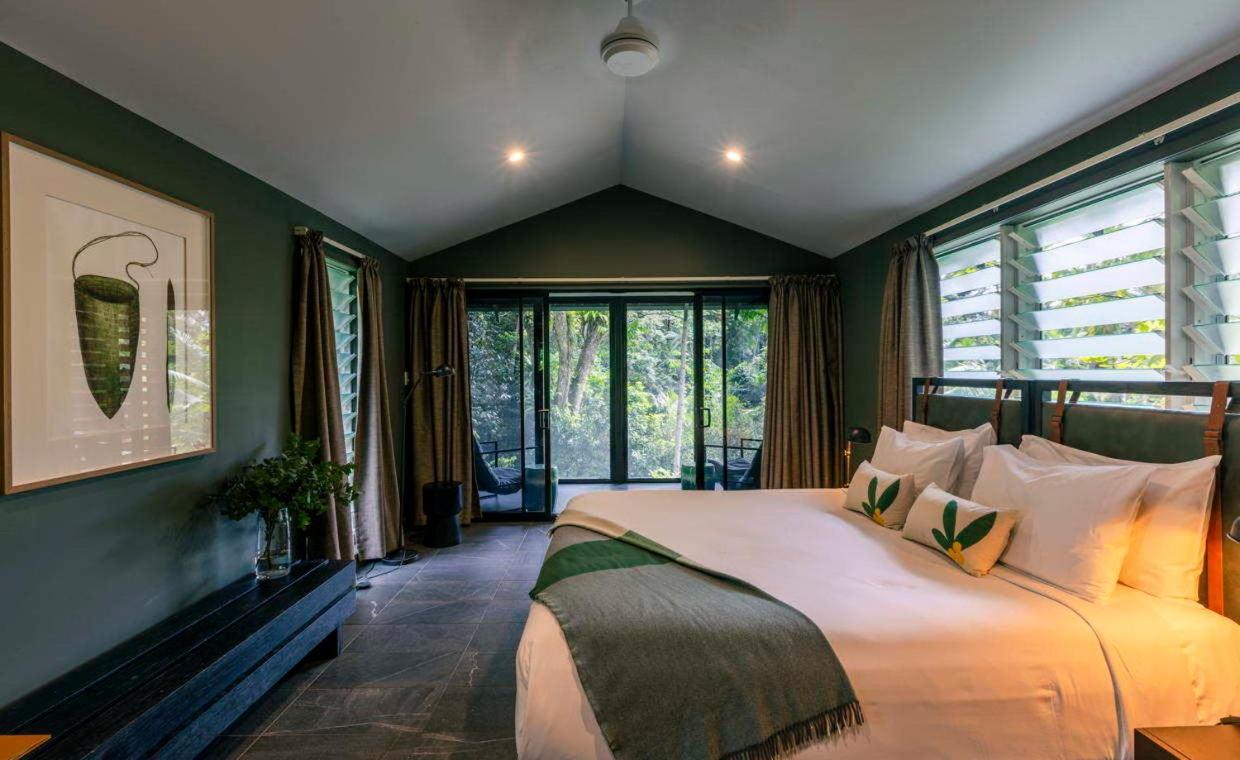 Daintree Ecolodge ภายนอก รูปภาพ