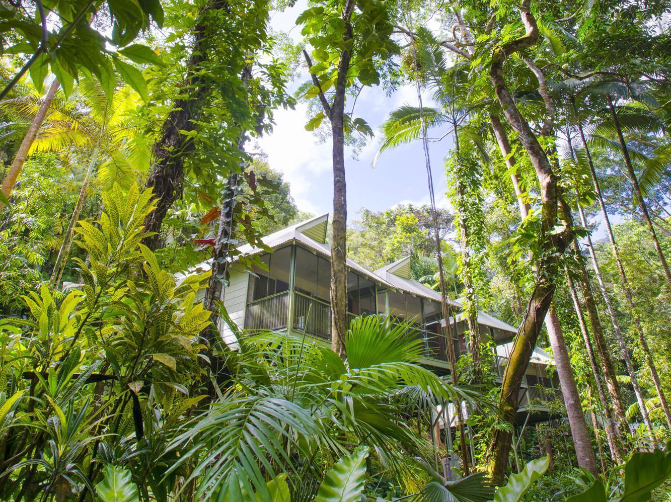 Daintree Ecolodge ภายนอก รูปภาพ