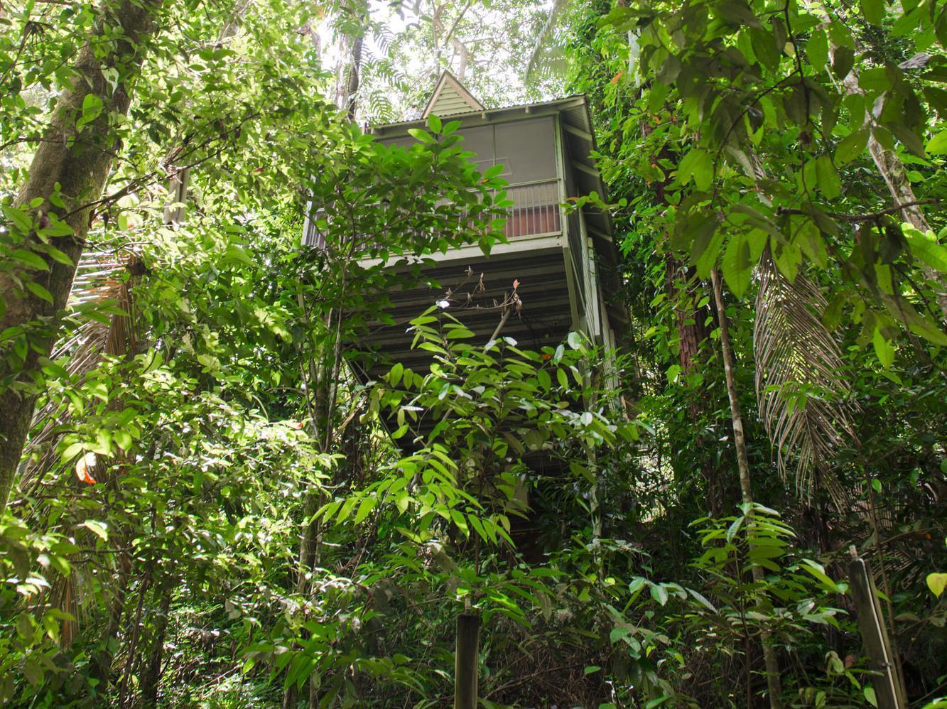 Daintree Ecolodge ภายนอก รูปภาพ