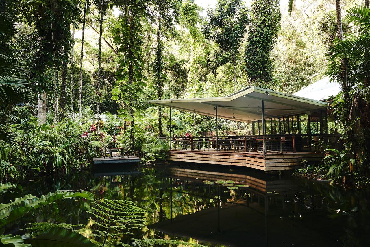 Daintree Ecolodge ภายนอก รูปภาพ