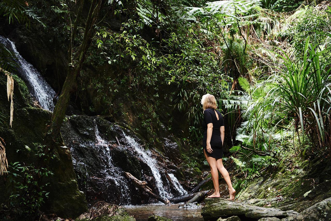 Daintree Ecolodge ภายนอก รูปภาพ
