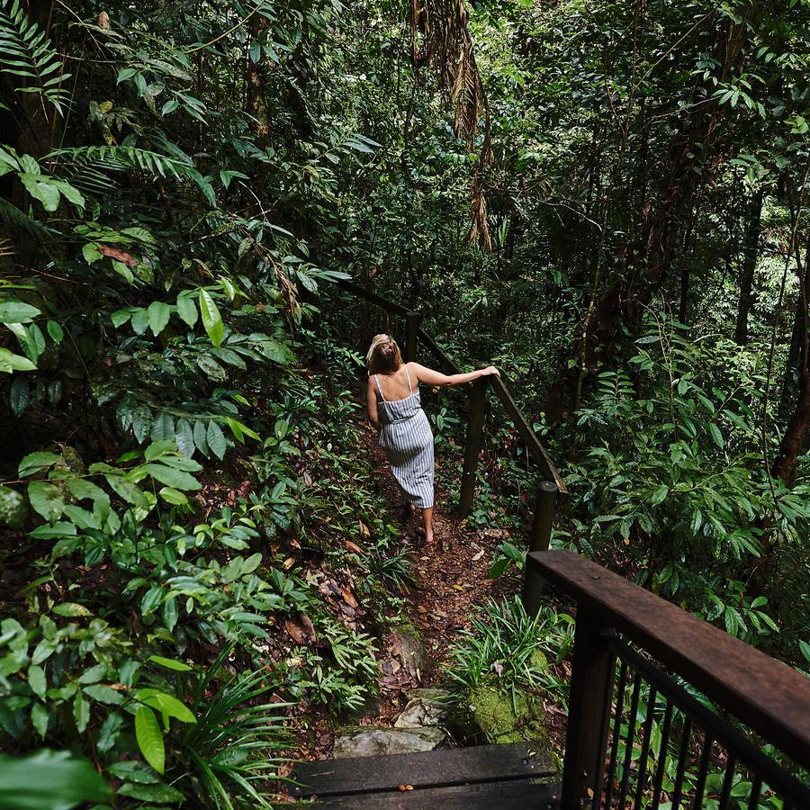 Daintree Ecolodge ภายนอก รูปภาพ