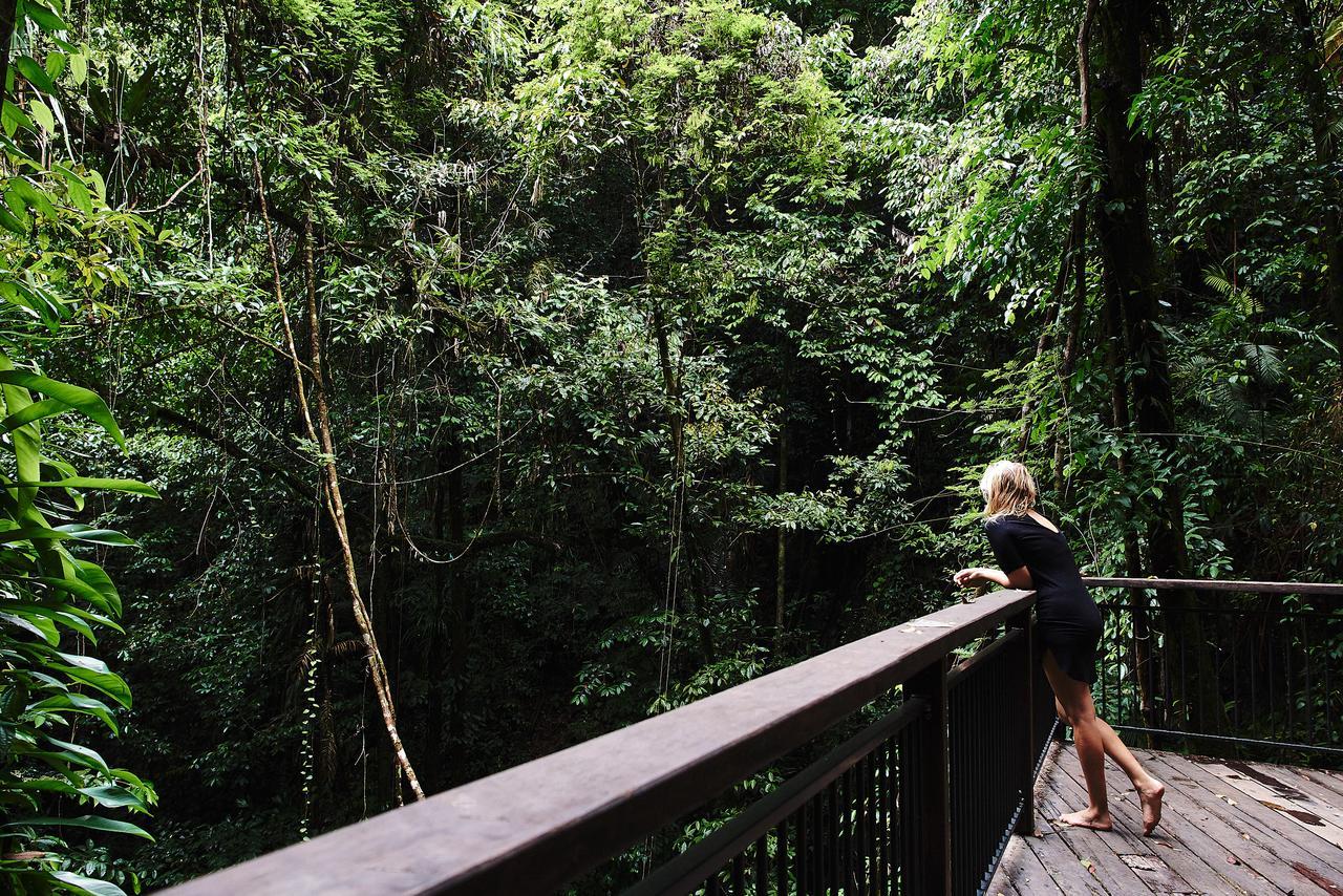 Daintree Ecolodge ภายนอก รูปภาพ