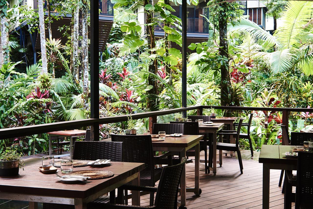 Daintree Ecolodge ภายนอก รูปภาพ
