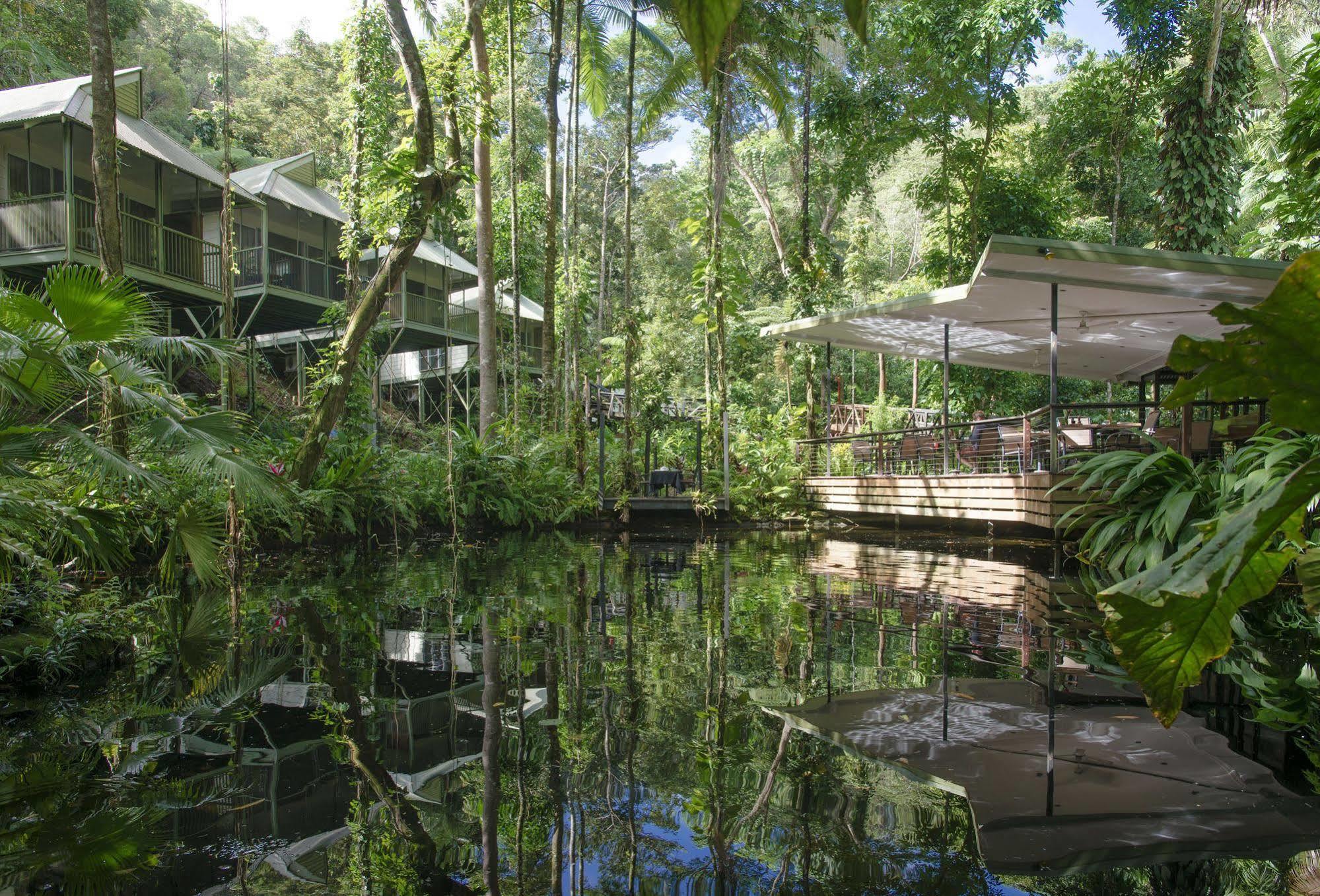 Daintree Ecolodge ภายนอก รูปภาพ