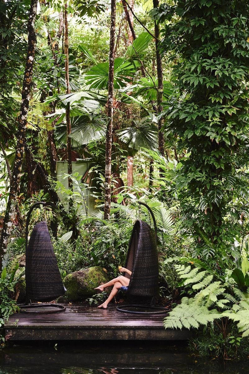 Daintree Ecolodge ภายนอก รูปภาพ