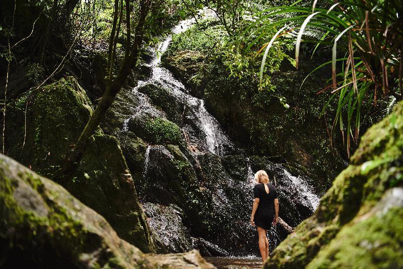 Daintree Ecolodge ภายนอก รูปภาพ