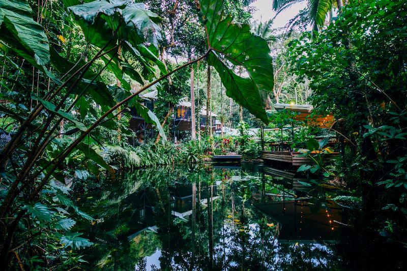 Daintree Ecolodge ภายนอก รูปภาพ