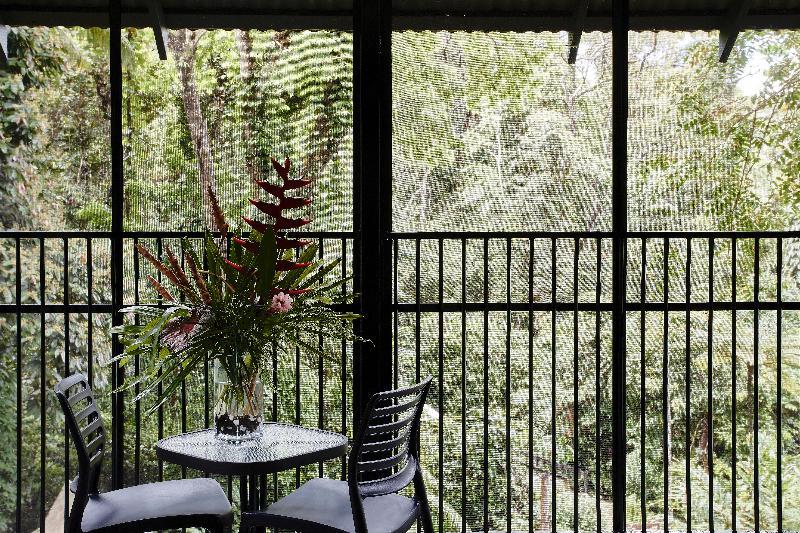 Daintree Ecolodge ภายนอก รูปภาพ