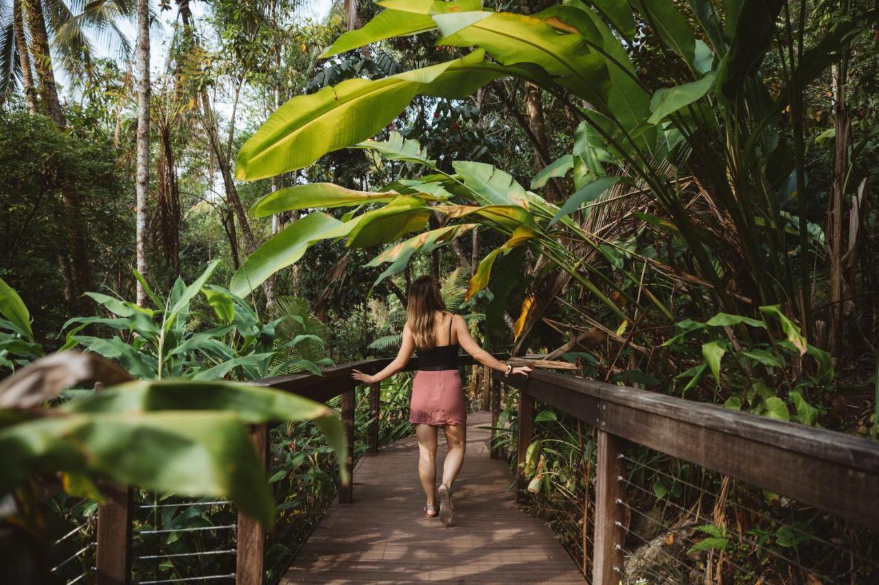 Daintree Ecolodge ภายนอก รูปภาพ