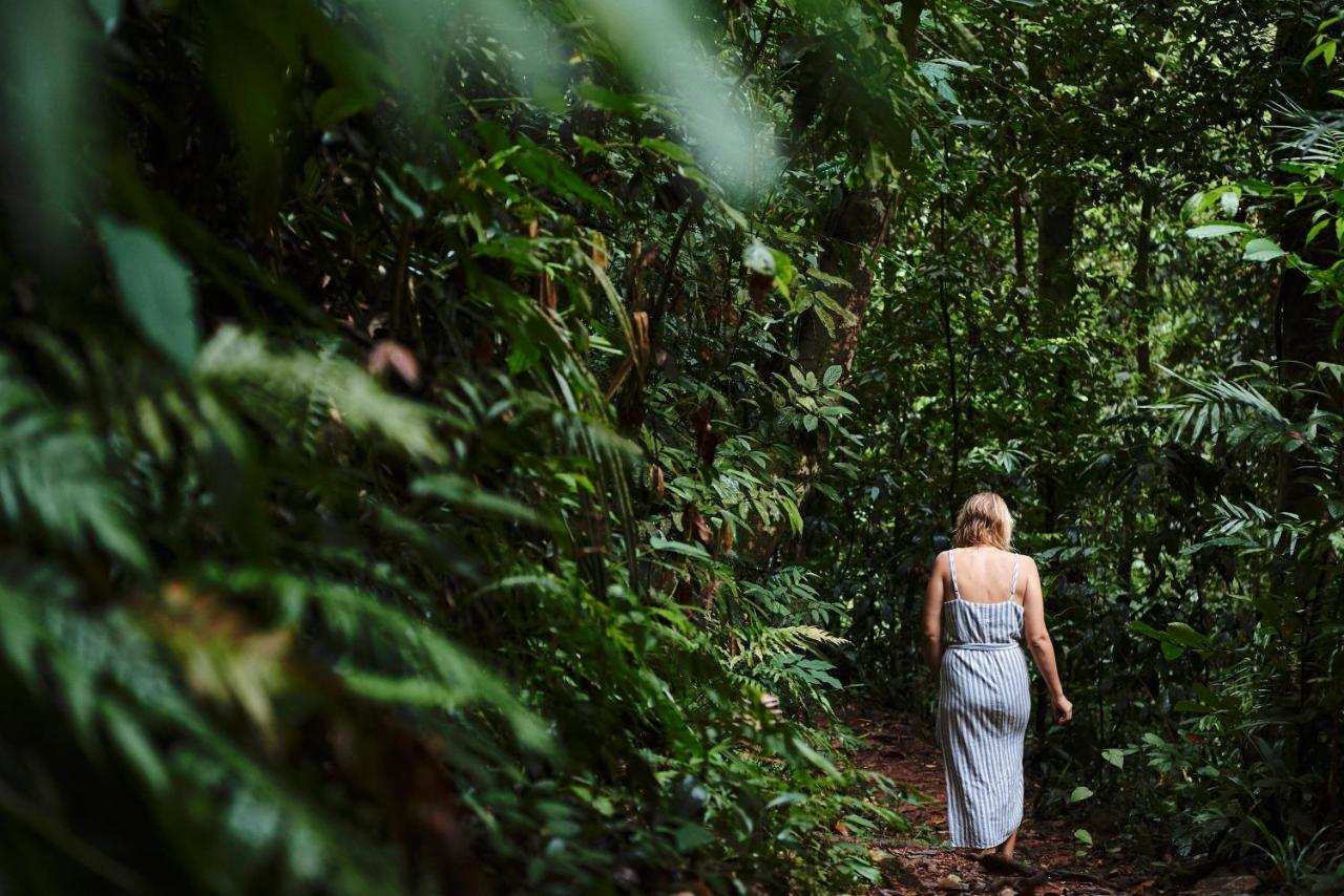 Daintree Ecolodge ภายนอก รูปภาพ